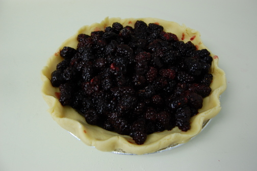 Blackberry Sour Cream Pie